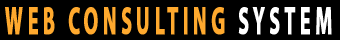 Web consulting system